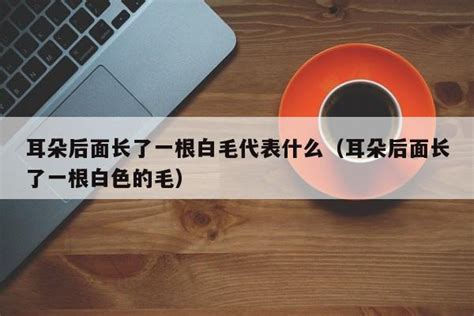 肚子長一根白毛|肚子上长白毛是怎么回事